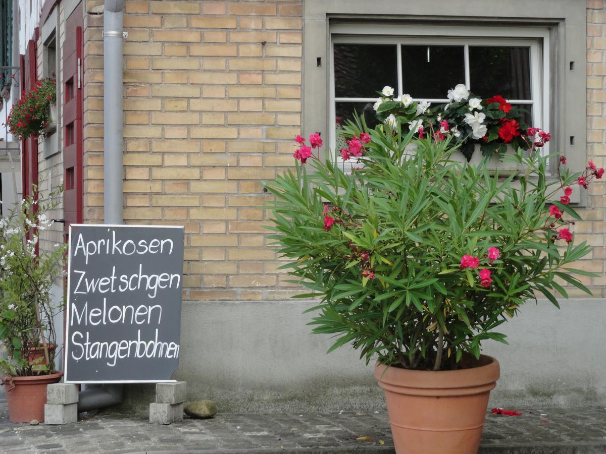 Bed And Breakfast Wegmann Andelfingen Exterior photo